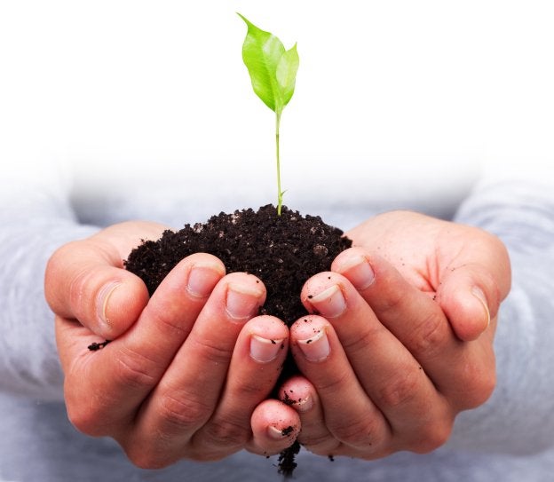 Mundo eco. Tras la crisis se prevé un aumento de consumo de lo ecológico. :: l.r.