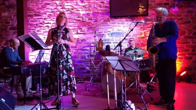Uno de los conciertos de este fin de semana en Alcanadre. :: N.J.