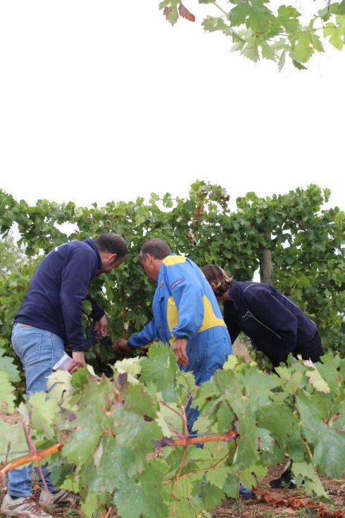 Agricultores en una finca de Aldeanueva. :: m.f./