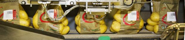 Las patatas pasan por una cinta en las instalaciones de Almacenes Rubio. :: miguel herreros/