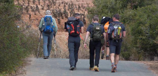 El rey, con parte del equipo de seguridad, con viñedos al fondo. :: sonia tercero/