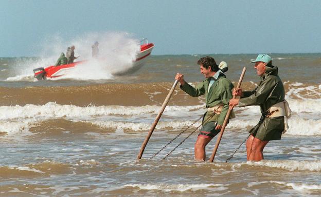 Dos coquineros extraen almejas de las arenas de la Playa de Doñana. /Maite Bartolomé
