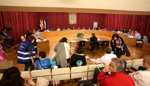 Miembros de la coordinadora por el 'Sacrificio Cero' volvieron ayer al Pleno de Logroño para reivindicar la ordenanza prometida y aparcada. :: jonathan herreros/