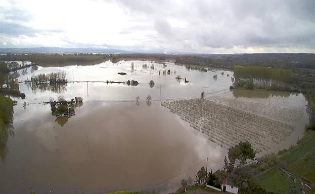 Crecida del Ebro a su paso por Alfaro./L.R.