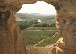 Rothschild y Vega Sicilia desembarcan en La Rioja con una inversión de 26 millones