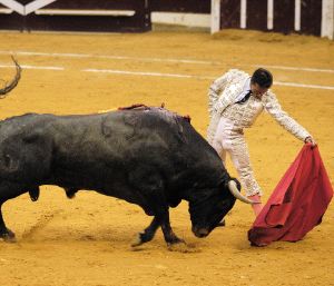 El riojano Diego Urdiales, en la faena del indultado 'Molinito'./ C. B./