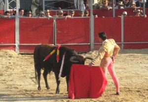 AL NATURAL. El arnedano cortó dos orejas al primer toro en la corrida del domingo en Colombia. /JAVIER BAQUERO (WWW.VOYALOSTOROS.COM)/