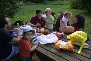 Una familia disfruta de un día de campo con los niños. /E.C./