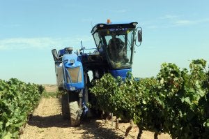 Labores de vendimia y de recepción de la uva en bodega durante el día de ayer en Aldeanueva. :: M. HERREROS/