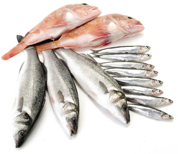 La calidad del pescado de estero es incuestionable :: l.r./