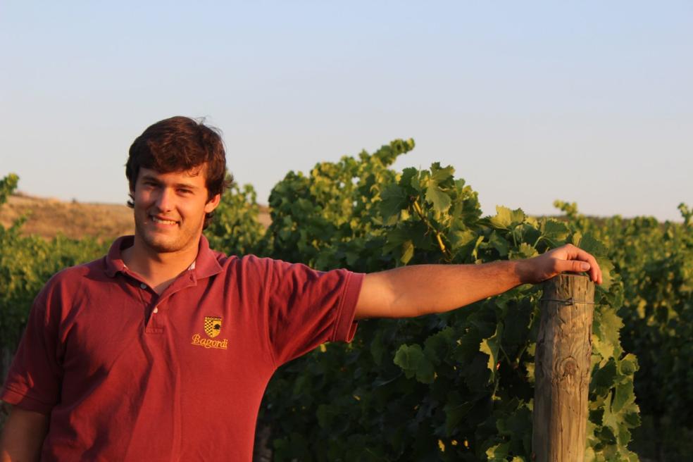 El joven Ander Cárcar, Bodegas Bagordi, en uno de sus viñedos de Andosilla. 
