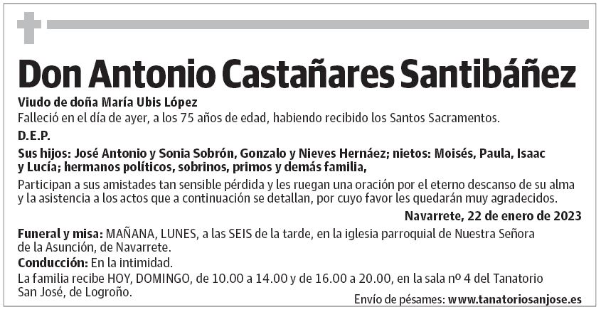 Don Antonio Castañares Santibáñez