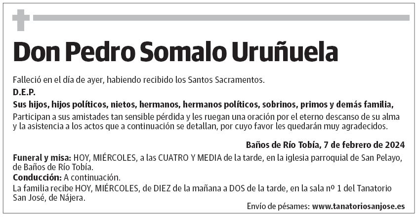 Don Pedro Somalo Uruñuela