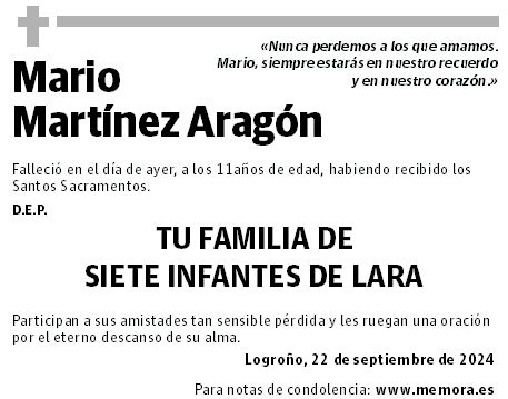 Mario Martínez Aragón