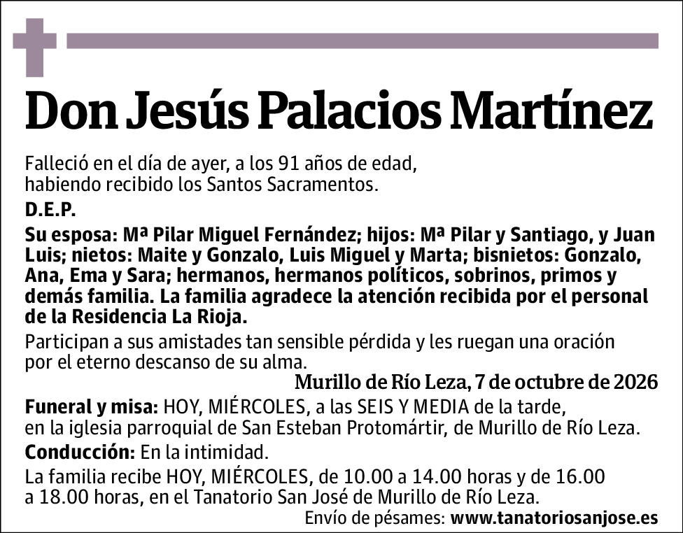 Jesús Palacios Martínez