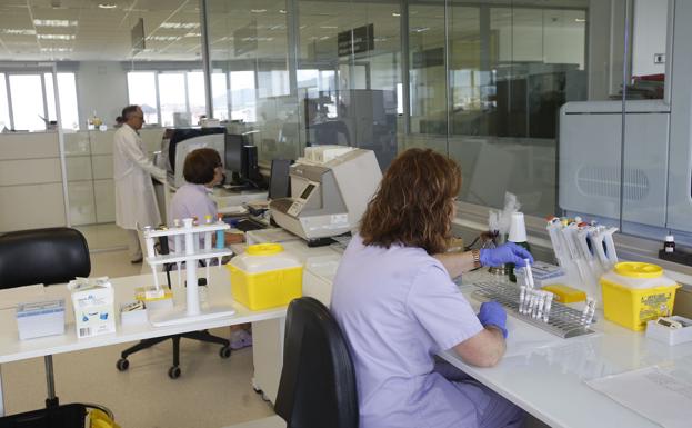 cáncer de próstata de celibatos cáncer de próstata de celibatos
