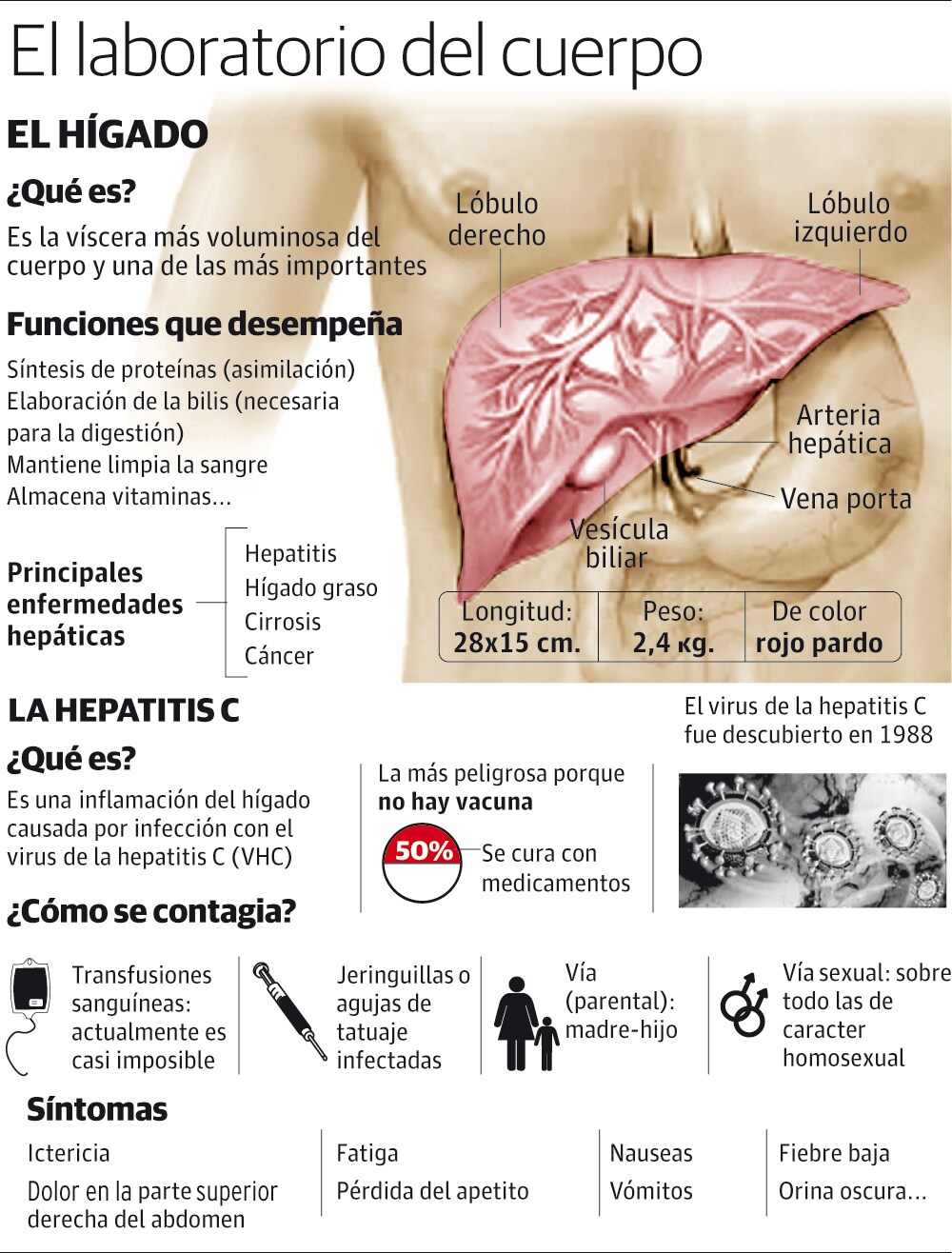 riojanos con hepatitis C se beneficiarán de un nuevo fármaco efectivo en el de los casos